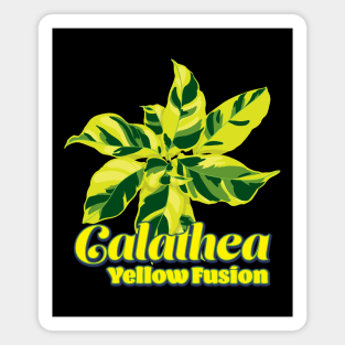 Calathea Yellow Fusion Magnet